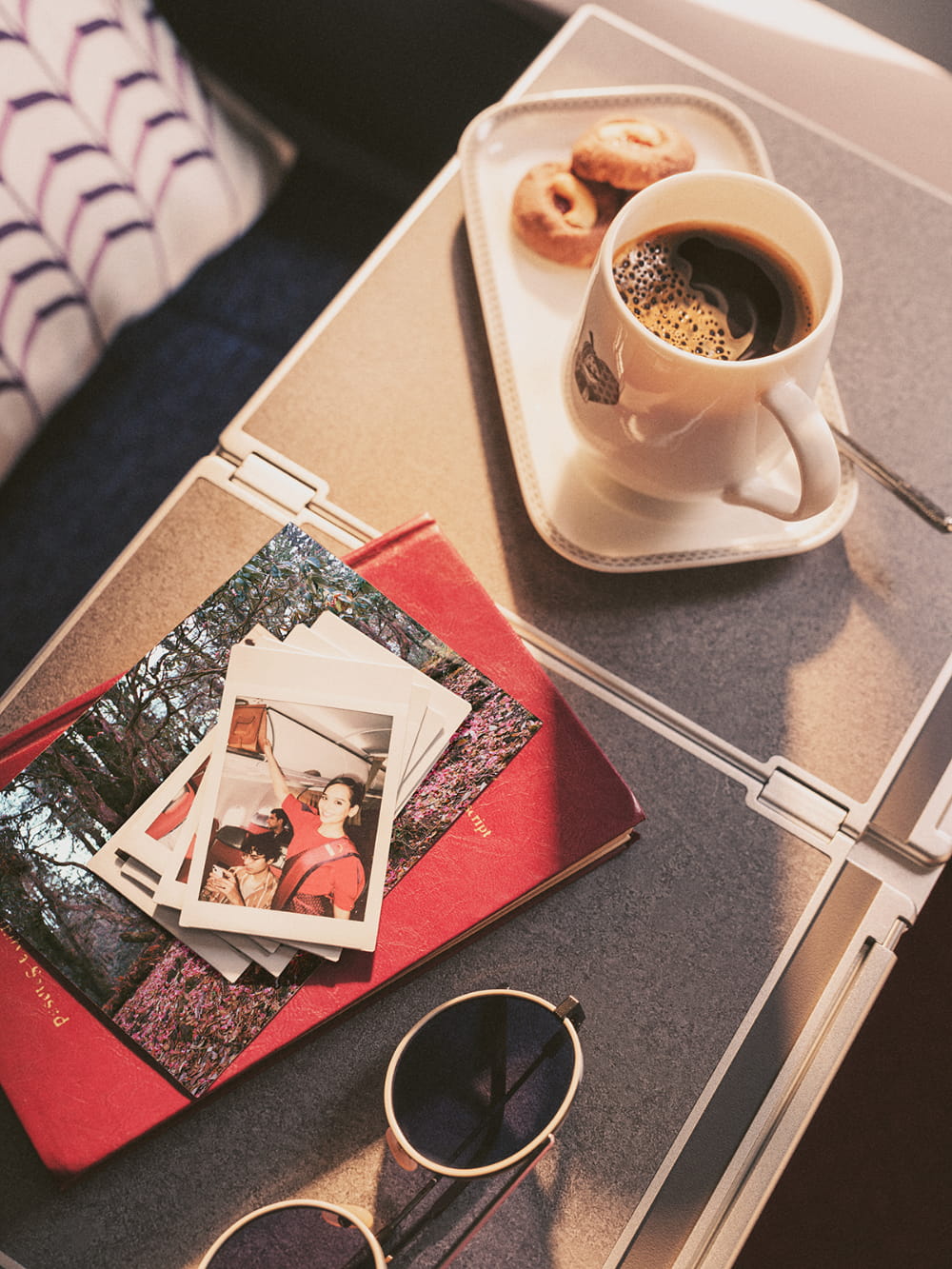 AIR INDIA (directors cut)