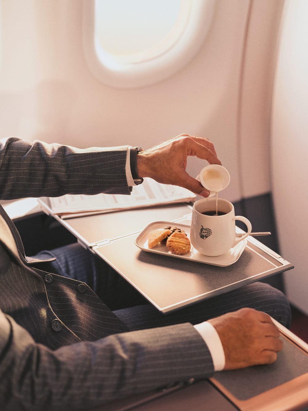 AIR INDIA (directors cut)