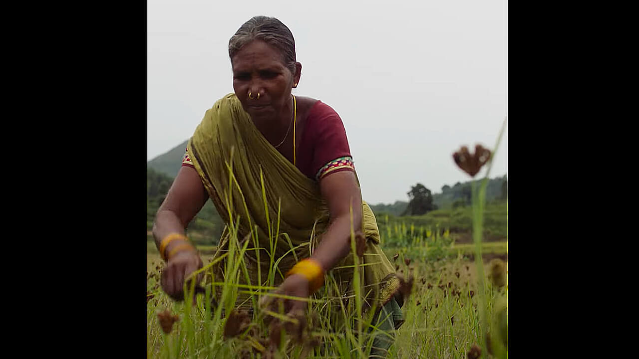 ROCKERFELLER FOUNDATION